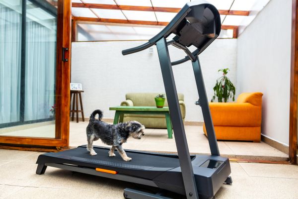 Treadmill Installation in Sandpoint