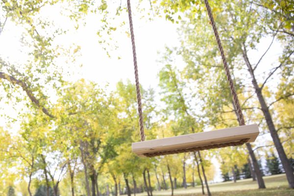 Tree Swing Installation in Sandpoint