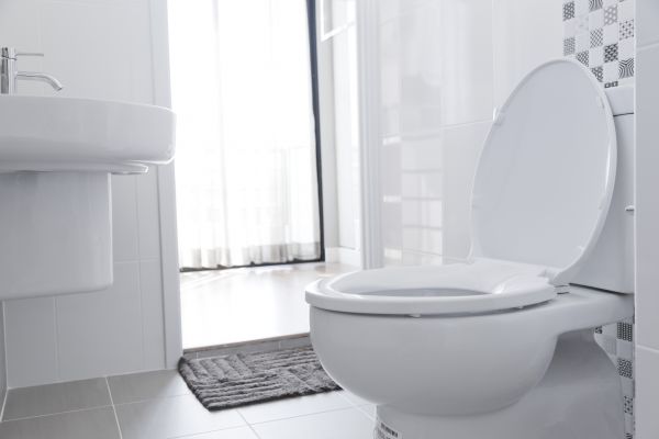 Toilet Seat Installation in Sandpoint