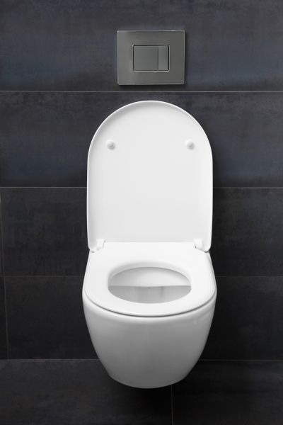 Toilet Lid Installation in Sandpoint