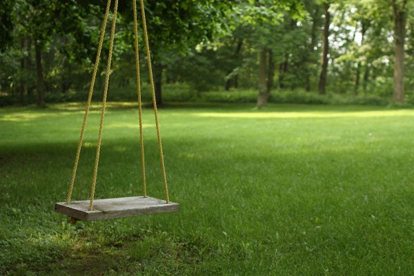 Rope Swing Installation in Sandpoint
