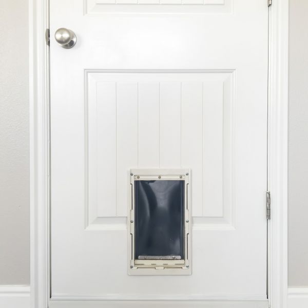 Pet Door Repair in Sandpoint
