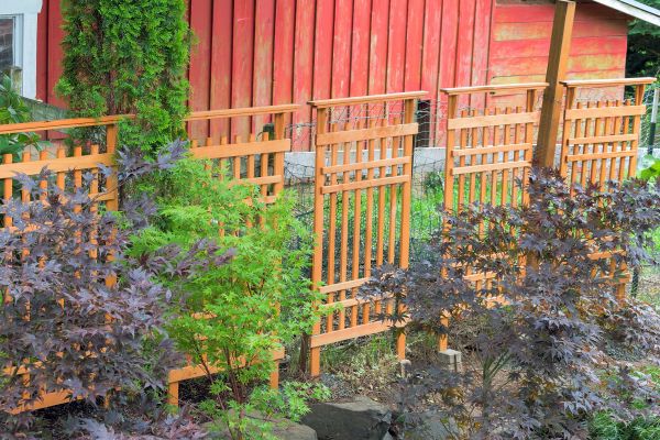 Wood Trellis Mounting in Sandpoint