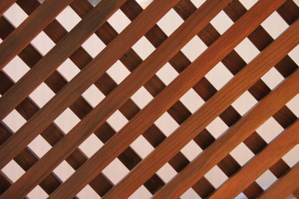Wood Lattice Repair in Sandpoint