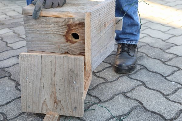 Birdhouse Mounting in Sandpoint